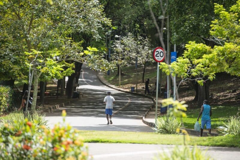 Ambiente para lazer no Parque da Cidade de Salvador Ambiente para lazer no Parque da Cidade de Salvador