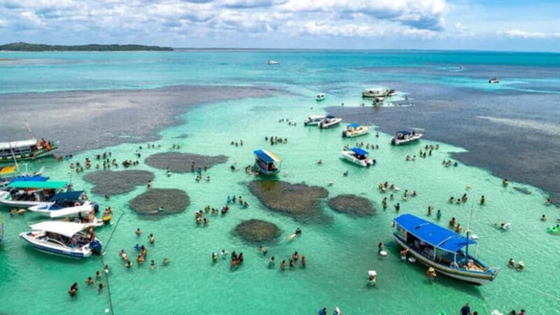 Ilha de Tinharé Ilha de Tinharé