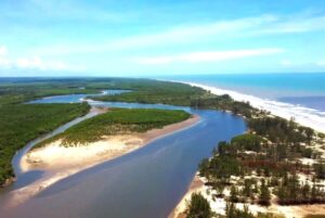 Canavieiras na Bahia