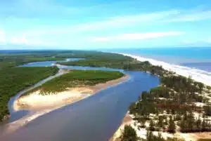 Canavieiras na Bahia