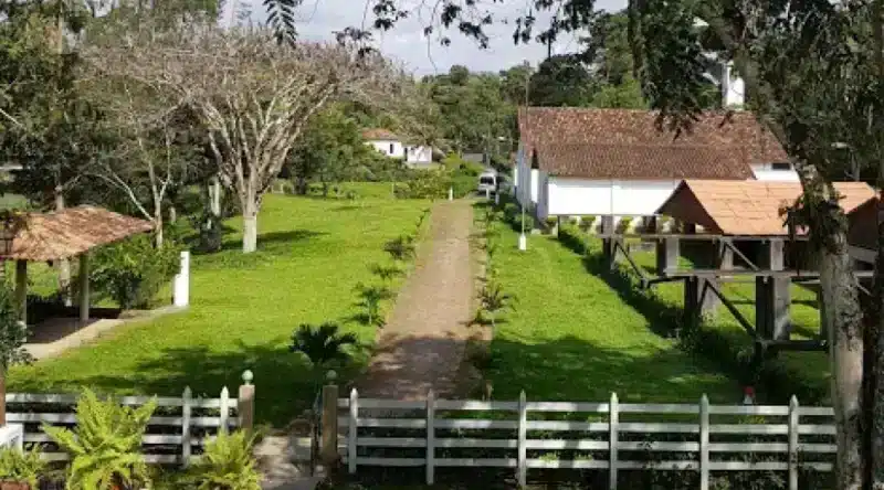 Fazenda Provisão em Ilhéus BA Fazenda Provisão em Ilhéus BA
