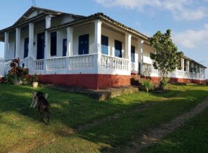 Fazendas de Cacau na Bahia