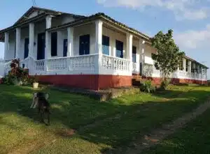 Fazendas de Cacau na Bahia