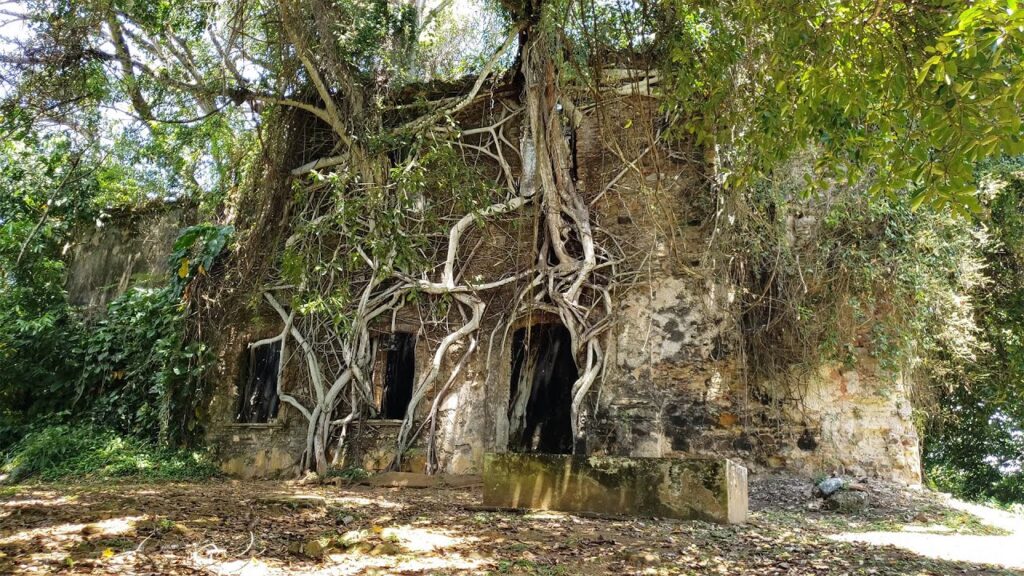 Igreja de Baiacu na Ilha de Itaparica Igreja de Baiacu na Ilha de Itaparica