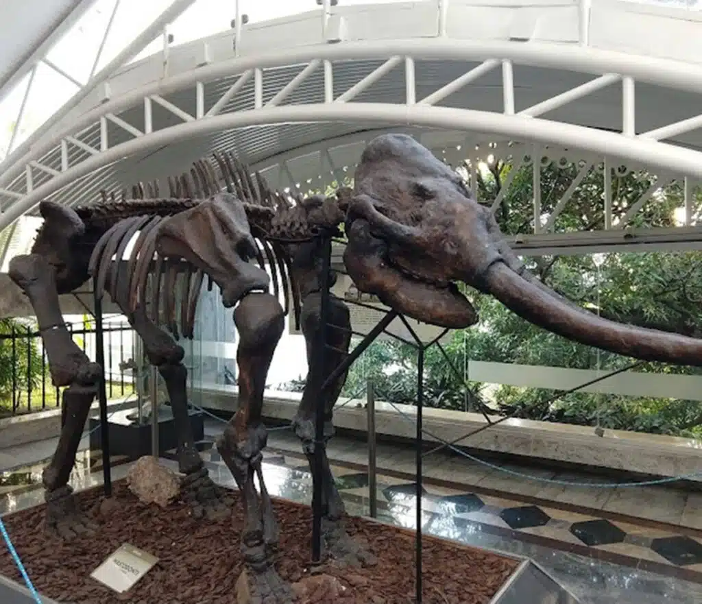 Museu Geológico da Bahia Museu Geológico da Bahia
