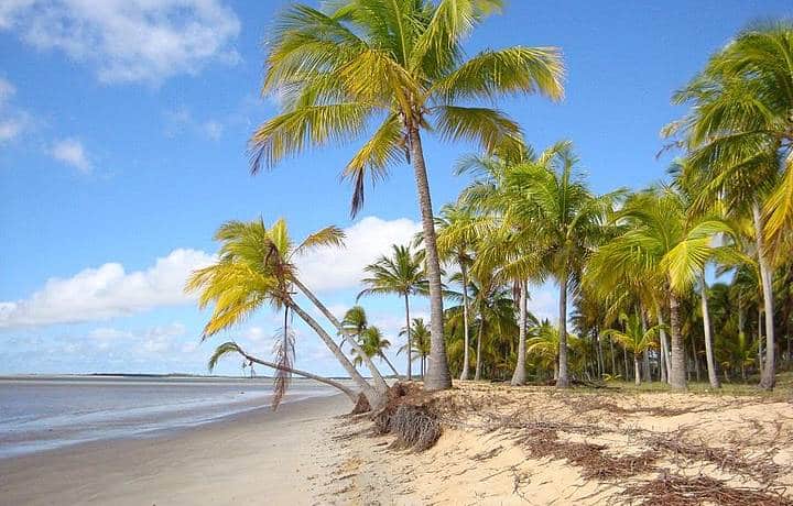 Praia do Grauçá em Caravelas BA Praia do Grauçá em Caravelas BA