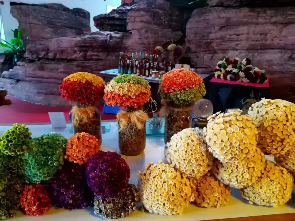 Projeto Sempre-Viva na Chapada Diamantina Projeto Sempre-Viva na Chapada Diamantina