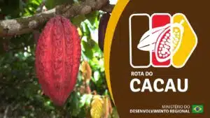 Rota Cacau e Chocolate na Bahia