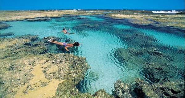 Piscinas Naturais na Mata de São João Piscinas Naturais na Mata de São João