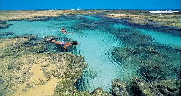 Piscinas Naturais na Mata de São João Piscinas Naturais na Mata de São João