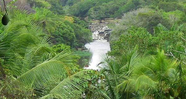 Reserva de Sapiranga no Município Mata de São João Reserva de Sapiranga no Município Mata de São João