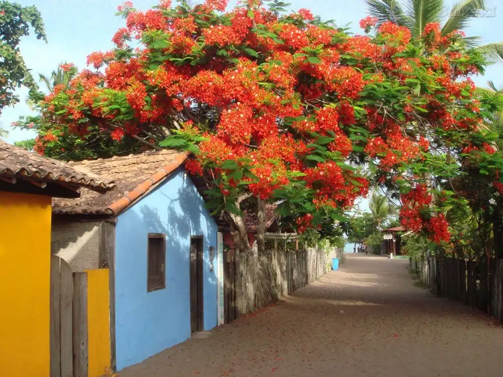 Caraíva na Bahia Caraíva na Bahia