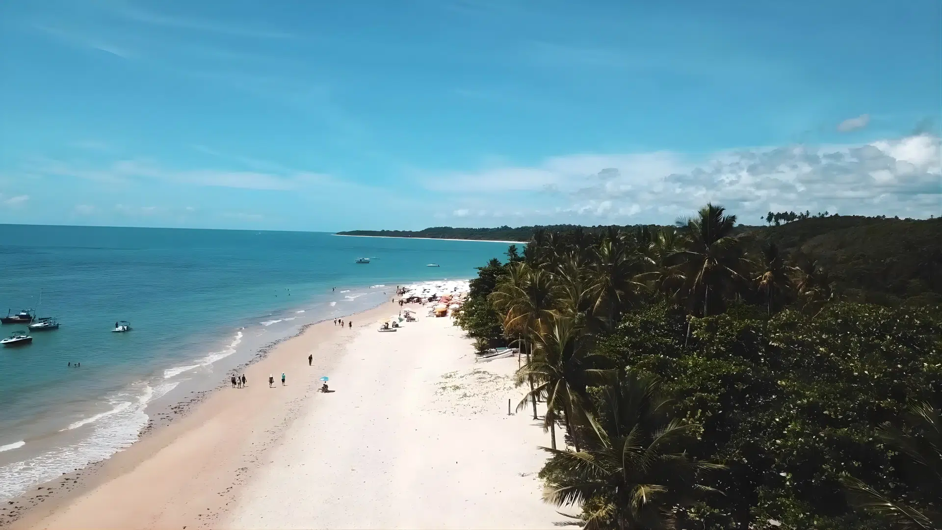 Praia dos Coqueiros em Trancoso BA Praia dos Coqueiros em Trancoso BA