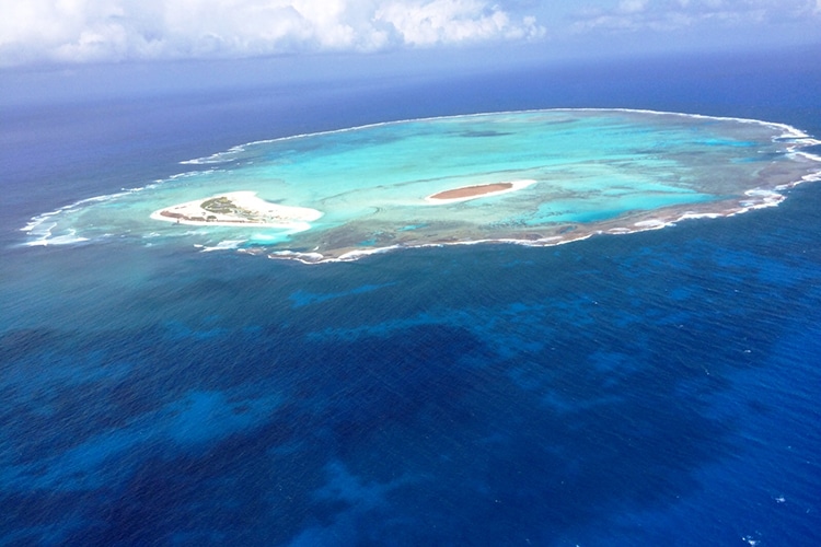 Atol das Rocas Atol das Rocas