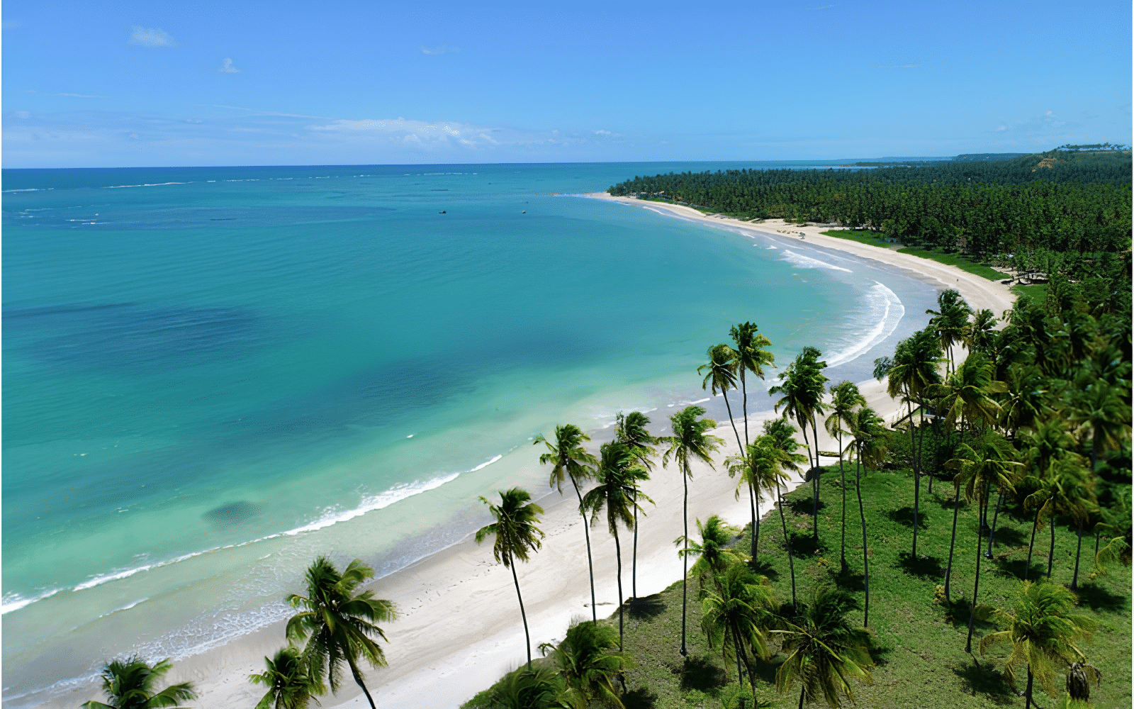 Elementos do Paraíso Tropical das praias do nordeste brasileiro Elementos do Paraíso Tropical das praias do nordeste brasileiro