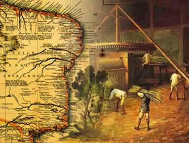 História do Nordeste - sociedade do açúcar no nordeste História do Nordeste - sociedade do açúcar no nordeste