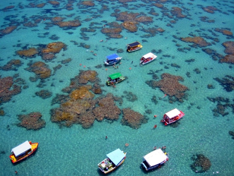 Parrachos de Maracajaú Parrachos de Maracajaú