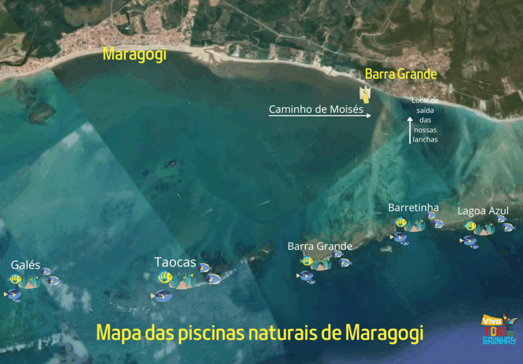 Mapa das piscinas naturais de Maragogi Mapa das piscinas naturais de Maragogi