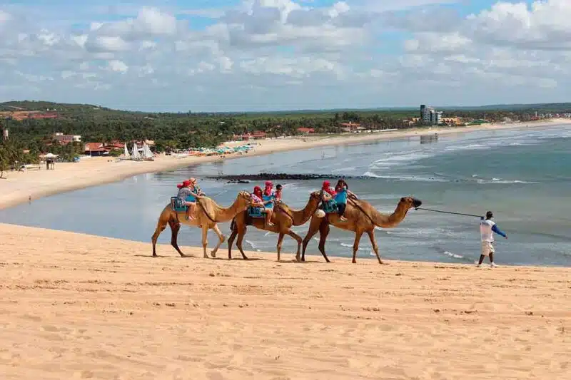 Praia de Genipabu em Natal RN Praia de Genipabu em Natal RN