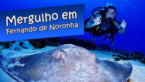 Scuba diving em Fernando de Noronha
