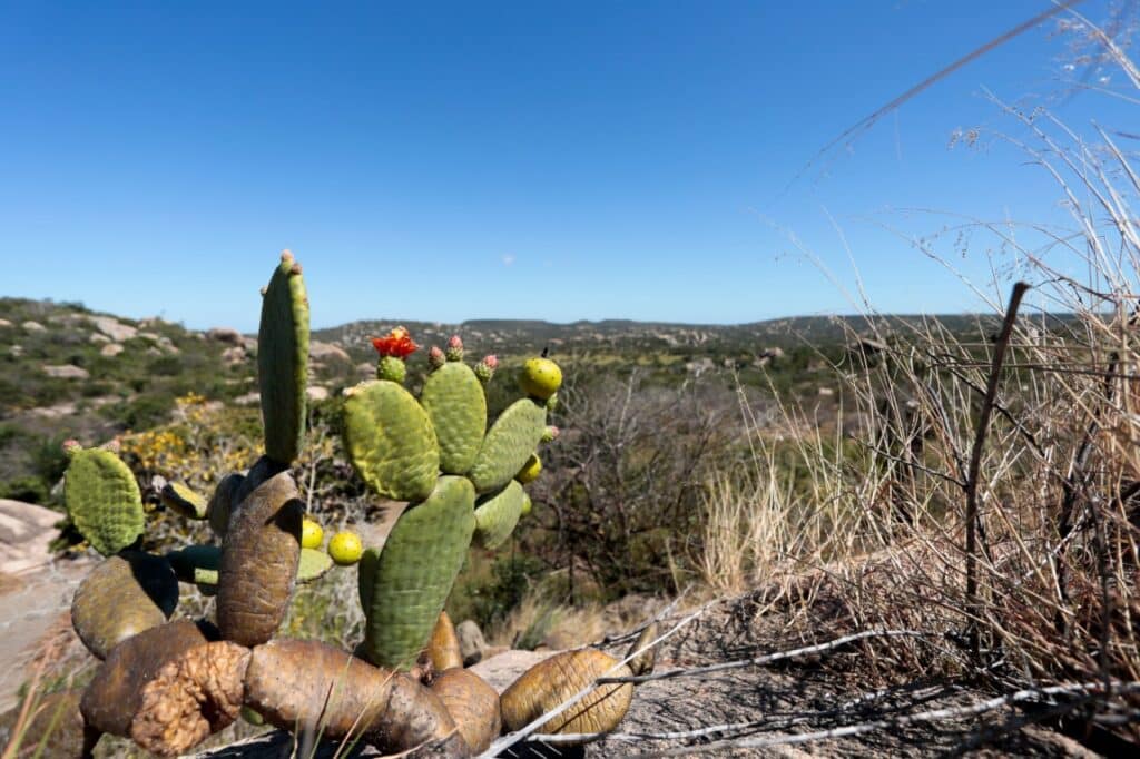 Seridó - Sertão do Rio Grande do Norte Seridó - Sertão do Rio Grande do Norte