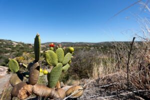 Seridó - Sertão do Rio Grande do Norte