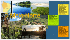 Sub-região meio norte do nordeste