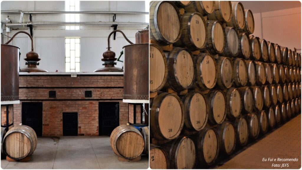 Vinhos de Petrolina e Região Vinhos de Petrolina e Região