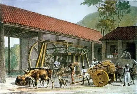 Moinho de cana de açúcar em Minas Gerais. Rugendas, 1835 Moinho de cana de açúcar em Minas Gerais. Rugendas, 1835