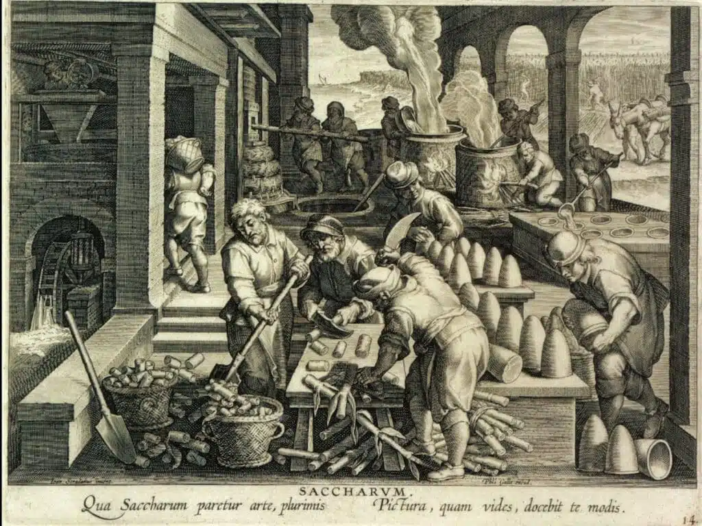Gravura flamenga do final do século XVI que mostra o fabrico de pães de açúcar numa plantação colonial. (Museu Britânico, Londres) Gravura flamenga do final do século XVI que mostra o fabrico de pães de açúcar numa plantação colonial. (Museu Britânico, Londres)