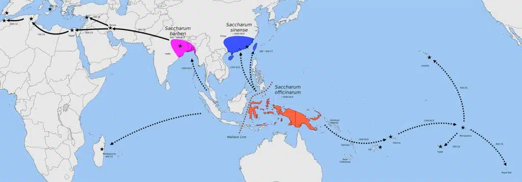 Origem e propagação da cana-de-açúcar pelo mundo. Origem e propagação da cana-de-açúcar pelo mundo.
