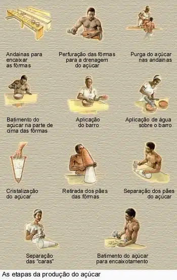 Etapas de se desenformar o açúcar após este ter sido purgado. Etapas de se desenformar o açúcar após este ter sido purgado.