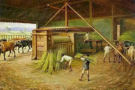 Moagem na Fazenda Cachoeira. Benedito Calixto, 1830. Moagem na Fazenda Cachoeira. Benedito Calixto, 1830.