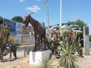 Bodódromo em Petrolina PE