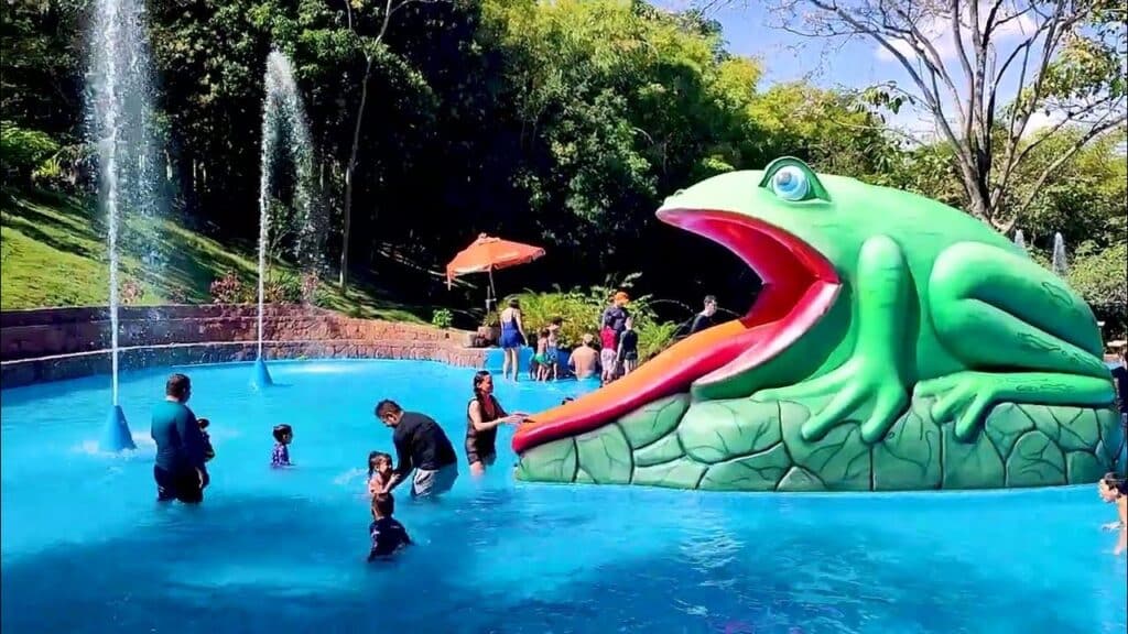 Arajara Park Arajara Park