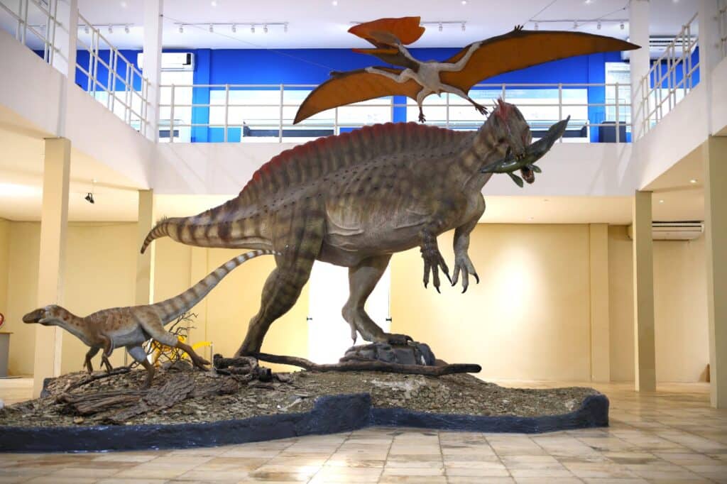 Museu de Paleontologia da Universidade Regional do Cariri Museu de Paleontologia da Universidade Regional do Cariri