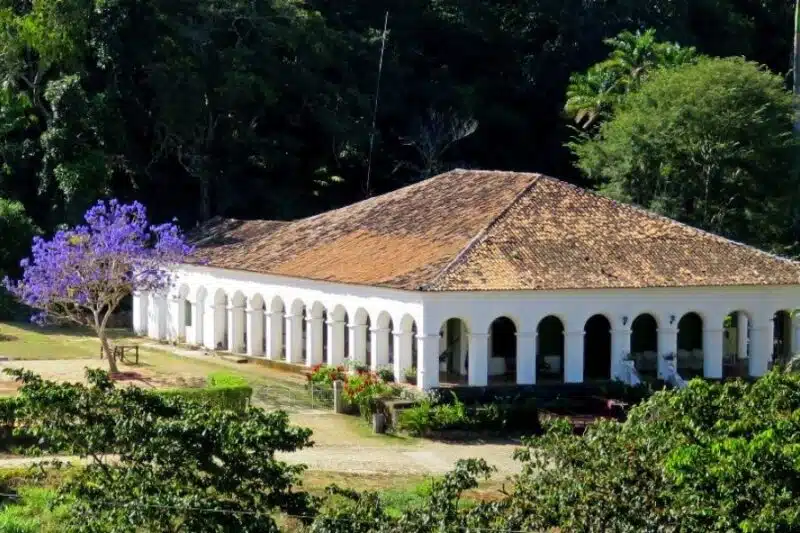 Sítio São Luís em Pacoti CE Sítio São Luís em Pacoti CE