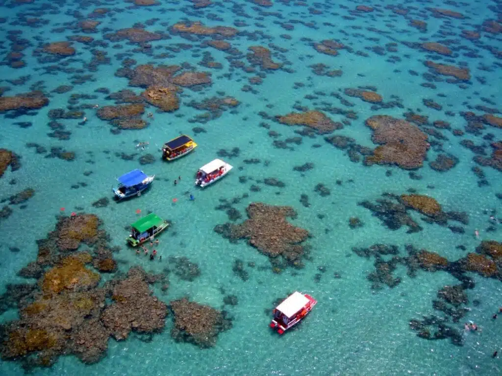 Parrachos de Maracajaú RN Parrachos de Maracajaú RN