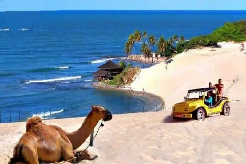 Dunas e Praia de Genipabu no RN Dunas e Praia de Genipabu no RN