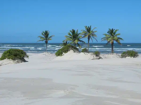 A maior atração Jandaíra é o Distrito de Mangue Seco na Bahia A maior atração Jandaíra é o Distrito de Mangue Seco na Bahia