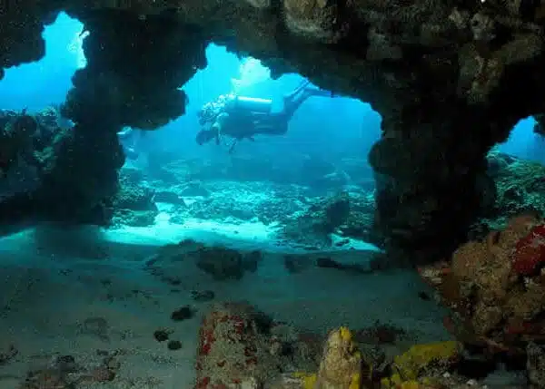 Mergulho em Fernando de Noronha