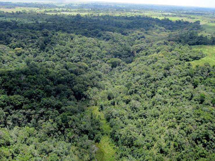 Sobrevoo da Mata Atlântica preservada pelo Exército em Aldeia Sobrevoo da Mata Atlântica preservada pelo Exército em Aldeia