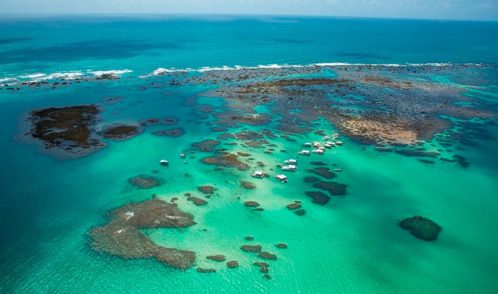 Galés de Maragogi – Maragogi Galés de Maragogi – Maragogi