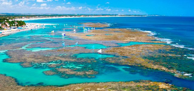 Piscinas Naturais do Nordeste - Porto de Galinhas Piscinas Naturais do Nordeste - Porto de Galinhas