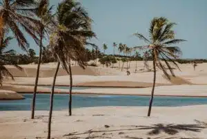 Tutóia no Maranhão