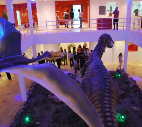 Museu de Paleontologia no Cariri