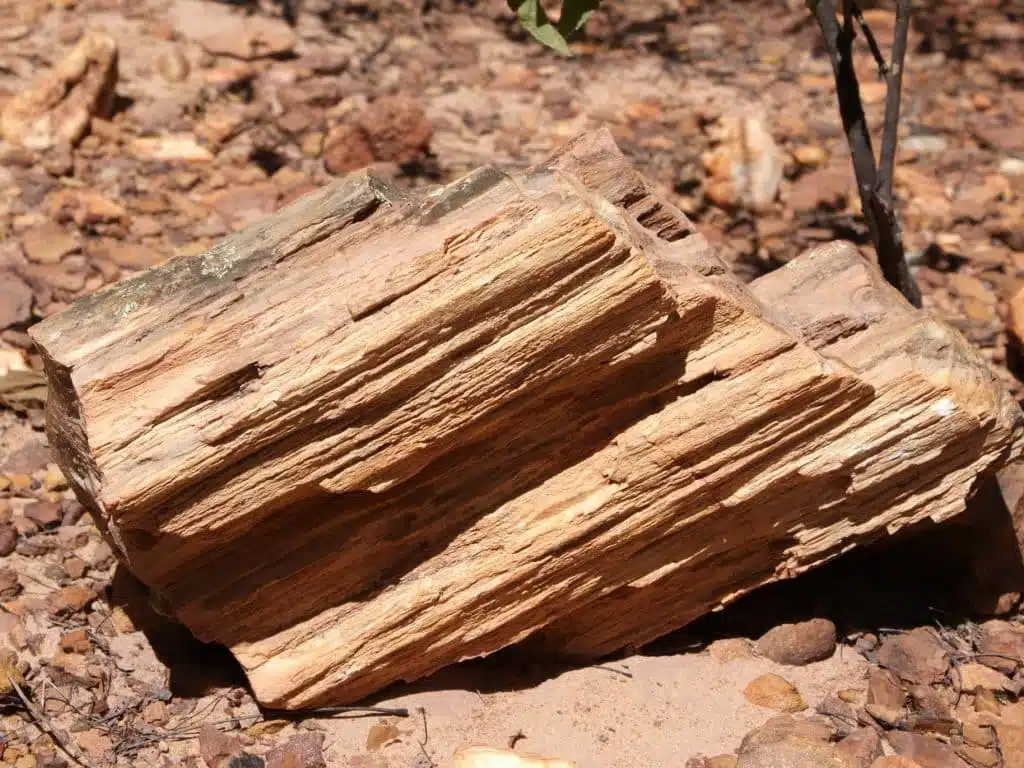 Geossítio Floresta Petrificada fica no Sítio Olho D’água Comprido, em Missão Velha Geossítio Floresta Petrificada fica no Sítio Olho D’água Comprido, em Missão Velha