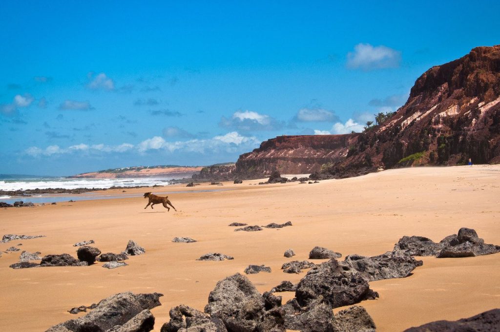 Praia das Minas em Pipa Praia das Minas em Pipa