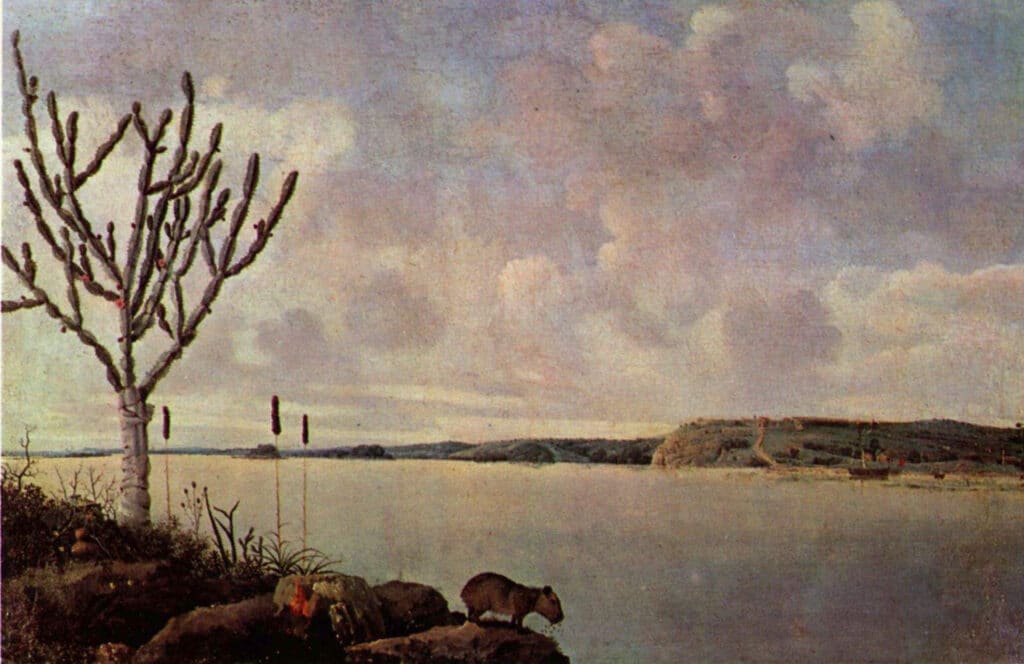 Rio São Francisco, Frans Post (1635) Rio São Francisco, Frans Post (1635)