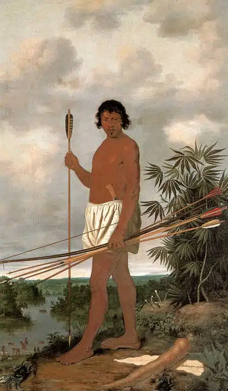 Índio Tupi, 1643 Albert Eckhout Índio Tupi, 1643Albert Eckhout
